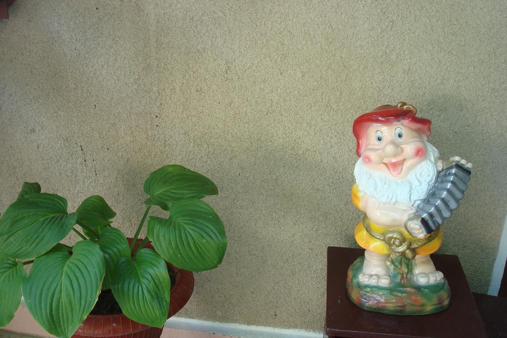 Usadba Chayka Hotel Kurortne  Esterno foto